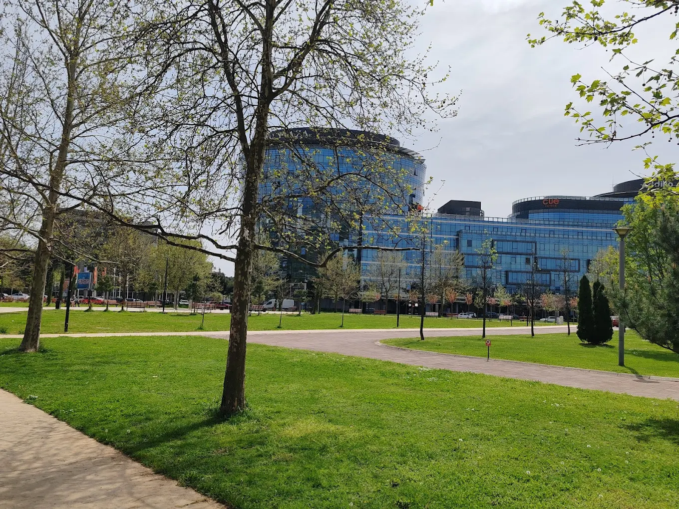 University of Montenegro